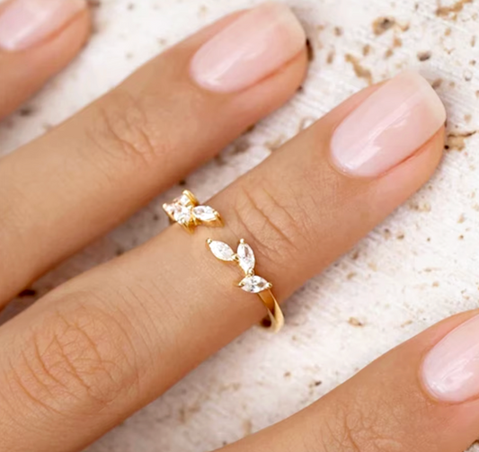 EVA Ring