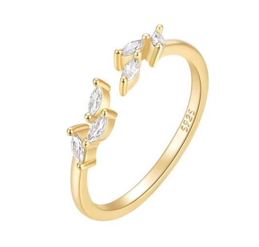 EVA Ring