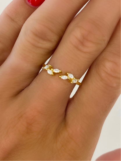 EVA Ring